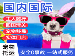 信阳明港机场货运国际宠物托运 【国